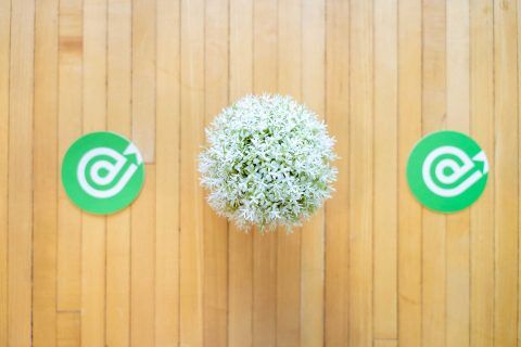 Plant in the center with two green coasters on a 1Eighty Digital wooden surface.