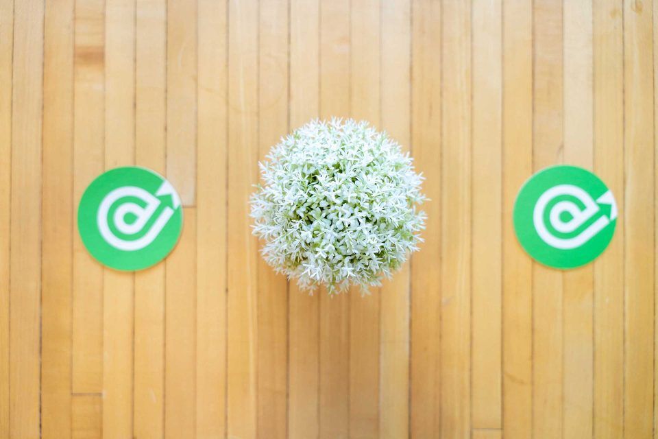 Plant in the center with two green coasters on a 1Eighty Digital wooden surface.