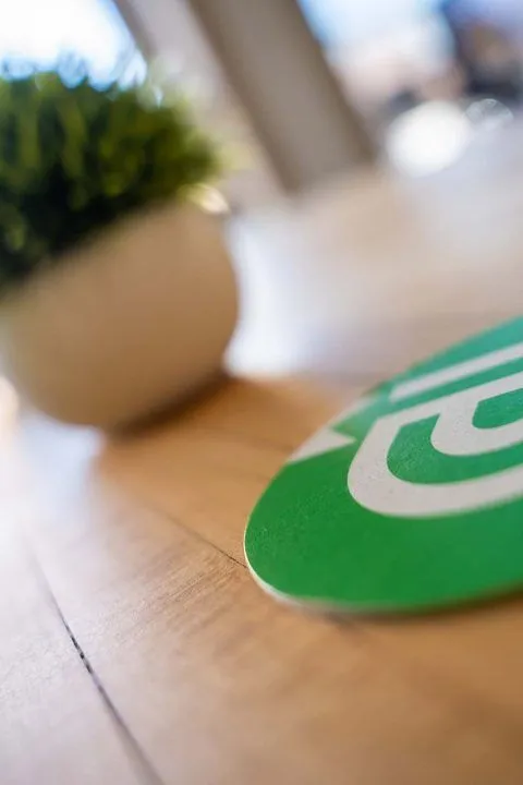 Small plant and round green coaster on a wooden table.