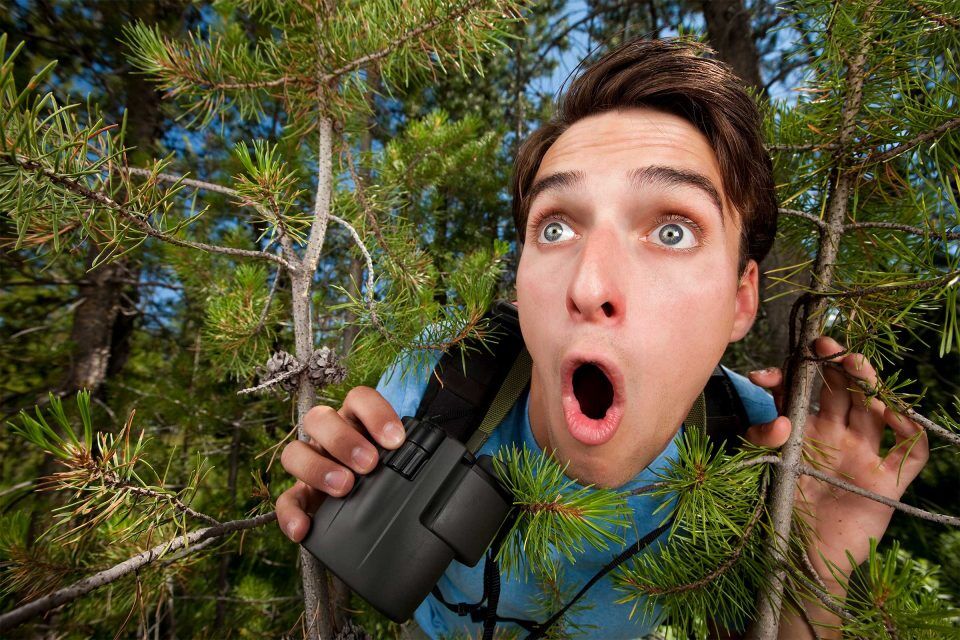 Person with binoculars looks surprised behind evergreen tree branches.