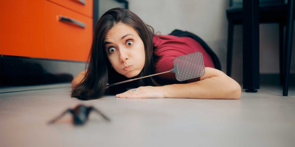 Woman on floor with fly swatter, focused like web crawlers on a toy bat.