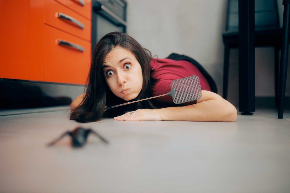 Woman on floor with fly swatter, focused like web crawlers on a toy bat.