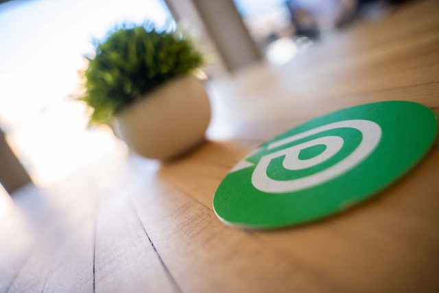 Small plant and round green coaster on a wooden table.