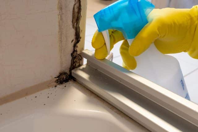 Lake City Restoration tackles mold on window frames with a gloved hand.