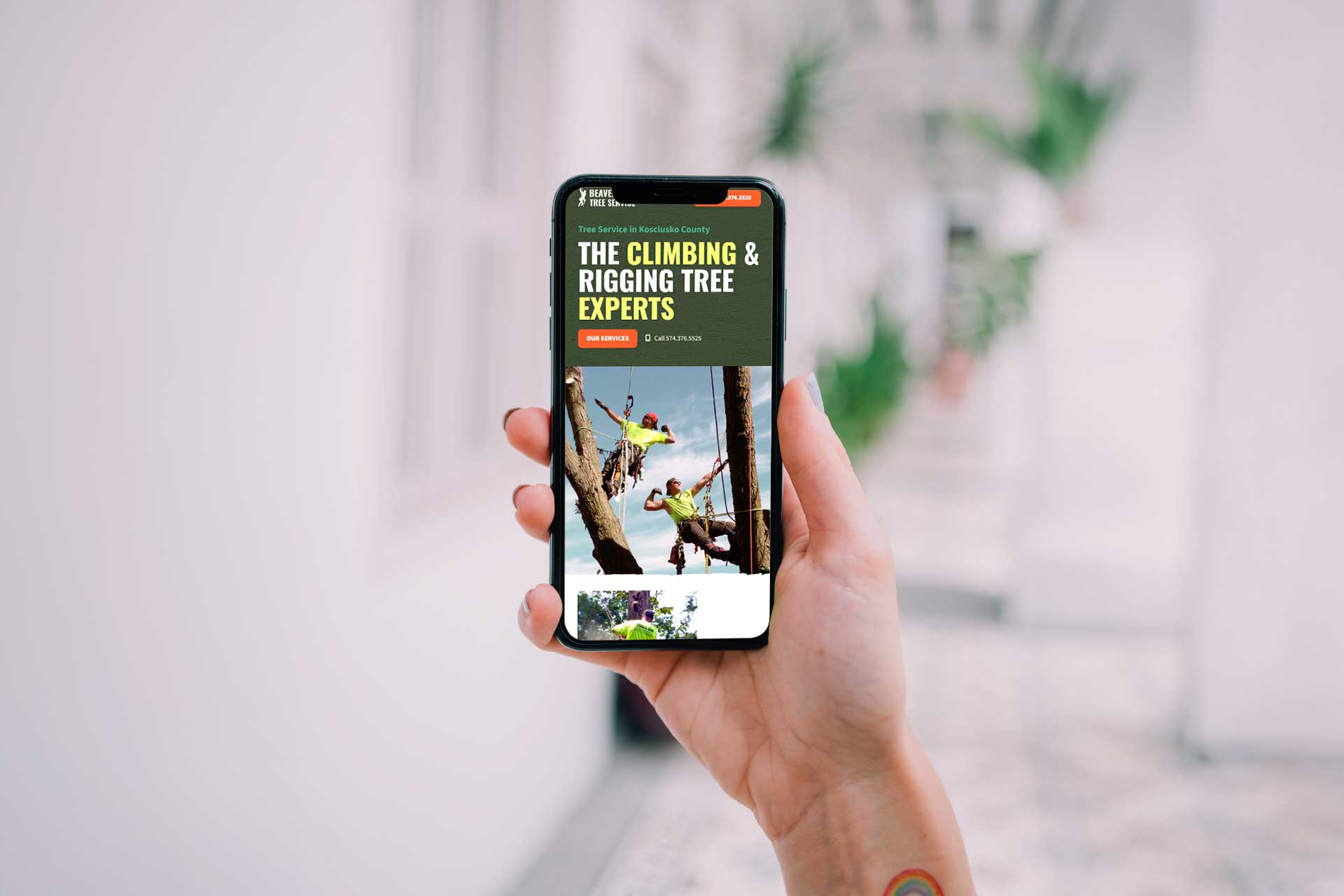 Hand displaying Beaver Dam Tree Services tree climbing website.