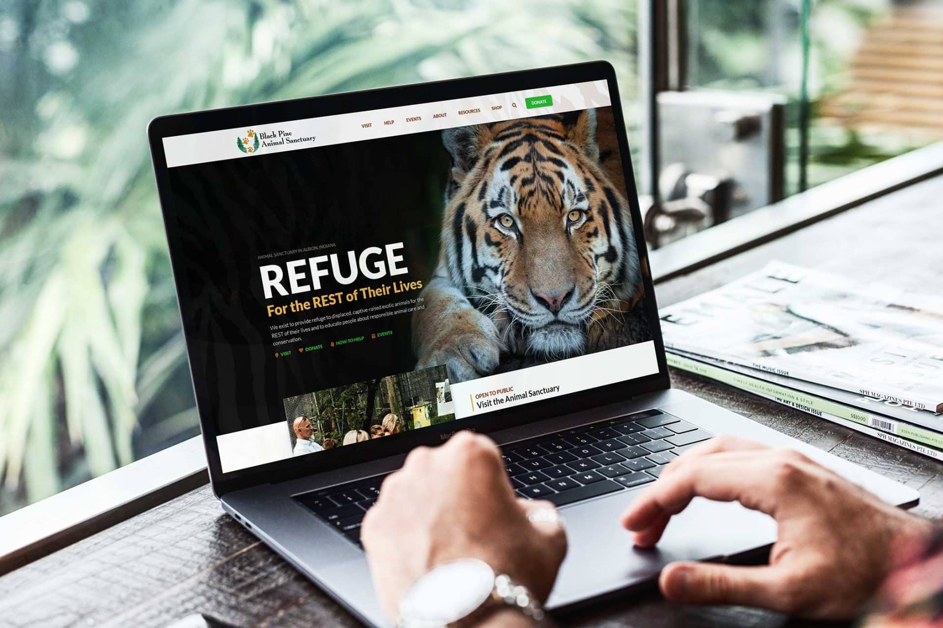 Person using laptop for EVI Training with a wildlife website showing a tiger.