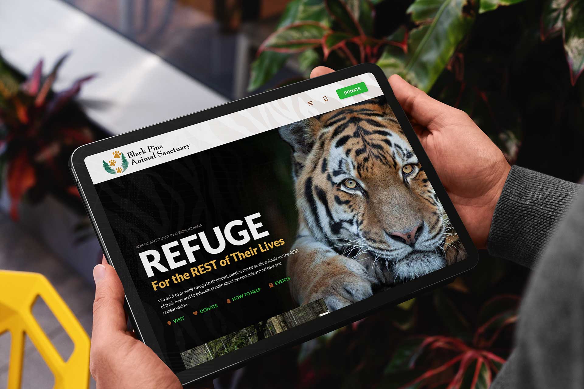 Person with tablet showing Black Pine Animal Sanctuarys website.