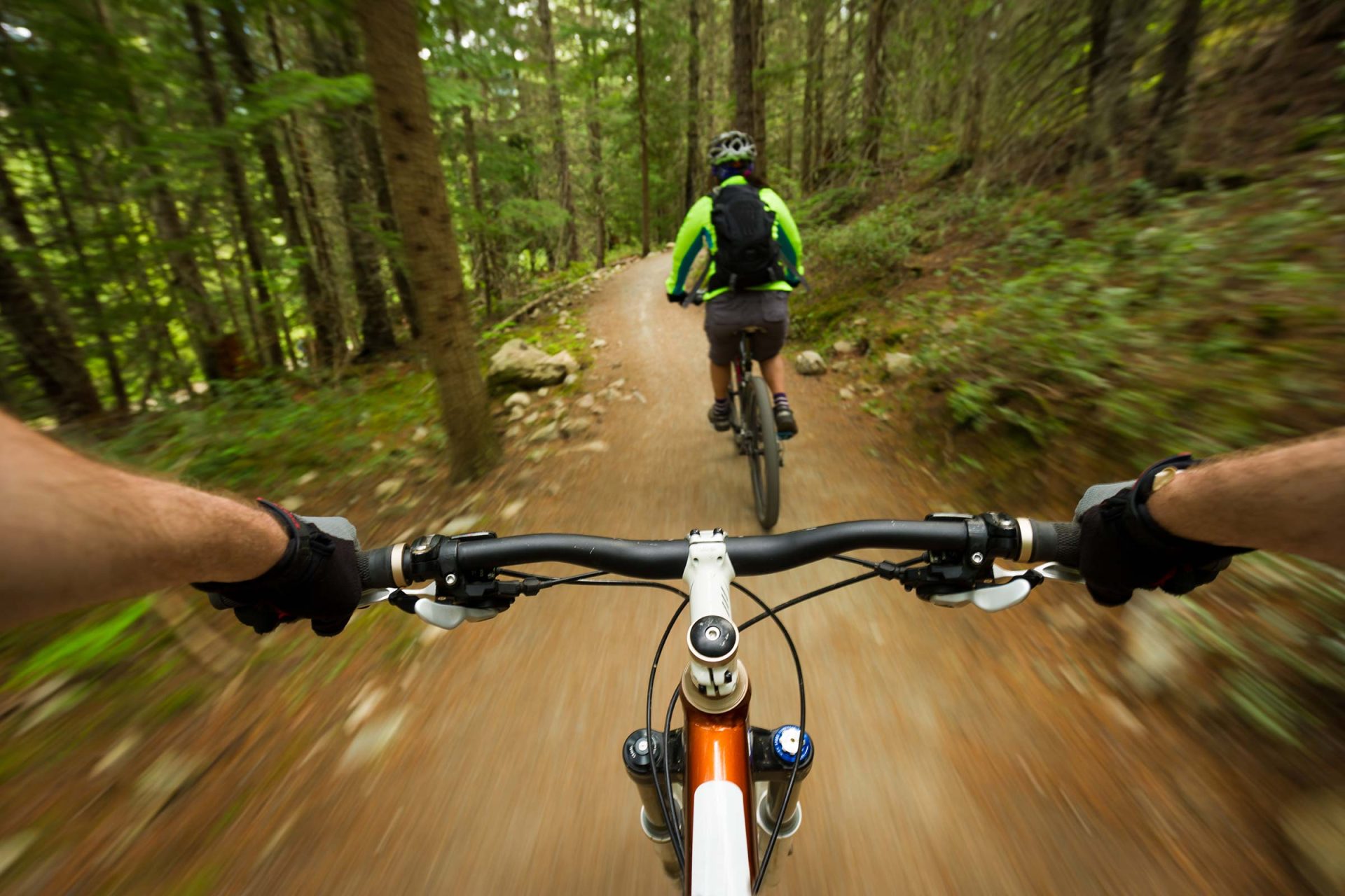 Cyclists navigate a narrow dirt trail in the dense Kosciusko County forest.
