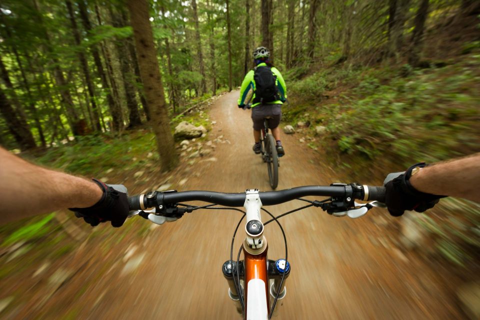Cyclists navigate a narrow dirt trail in the dense Kosciusko County forest.