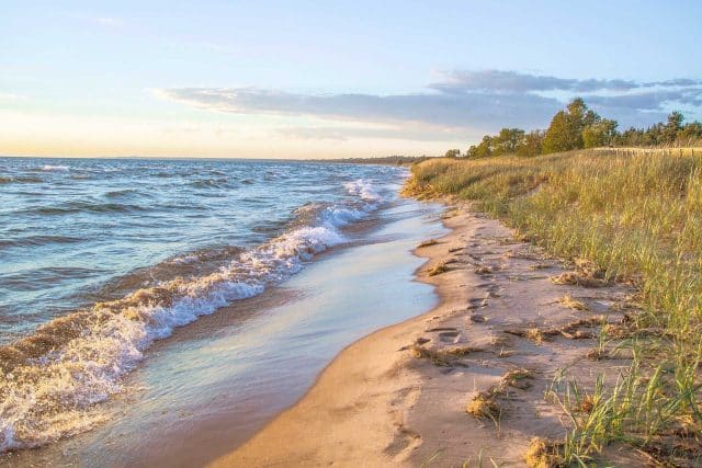 Waves crash on a sandy beach; Kristine McQuowns vision of nature.