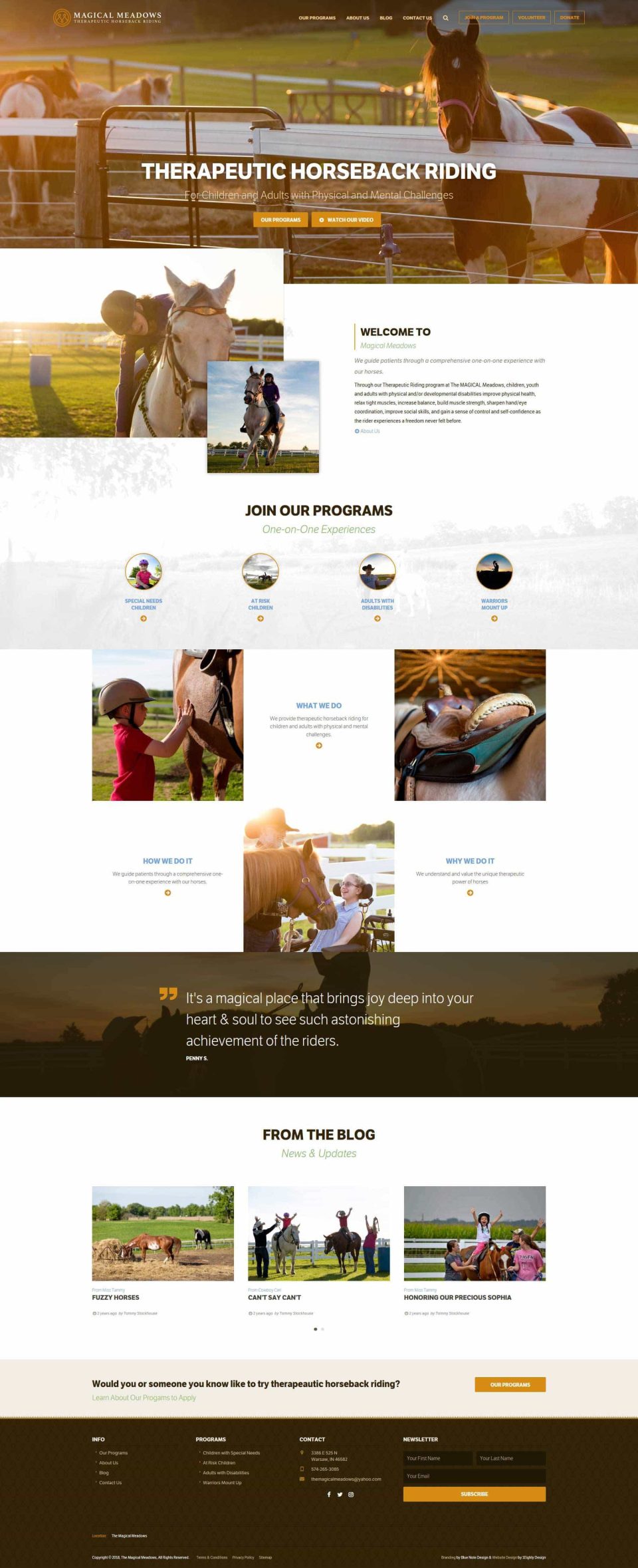 Website for therapeutic horseback riding with program details and images.